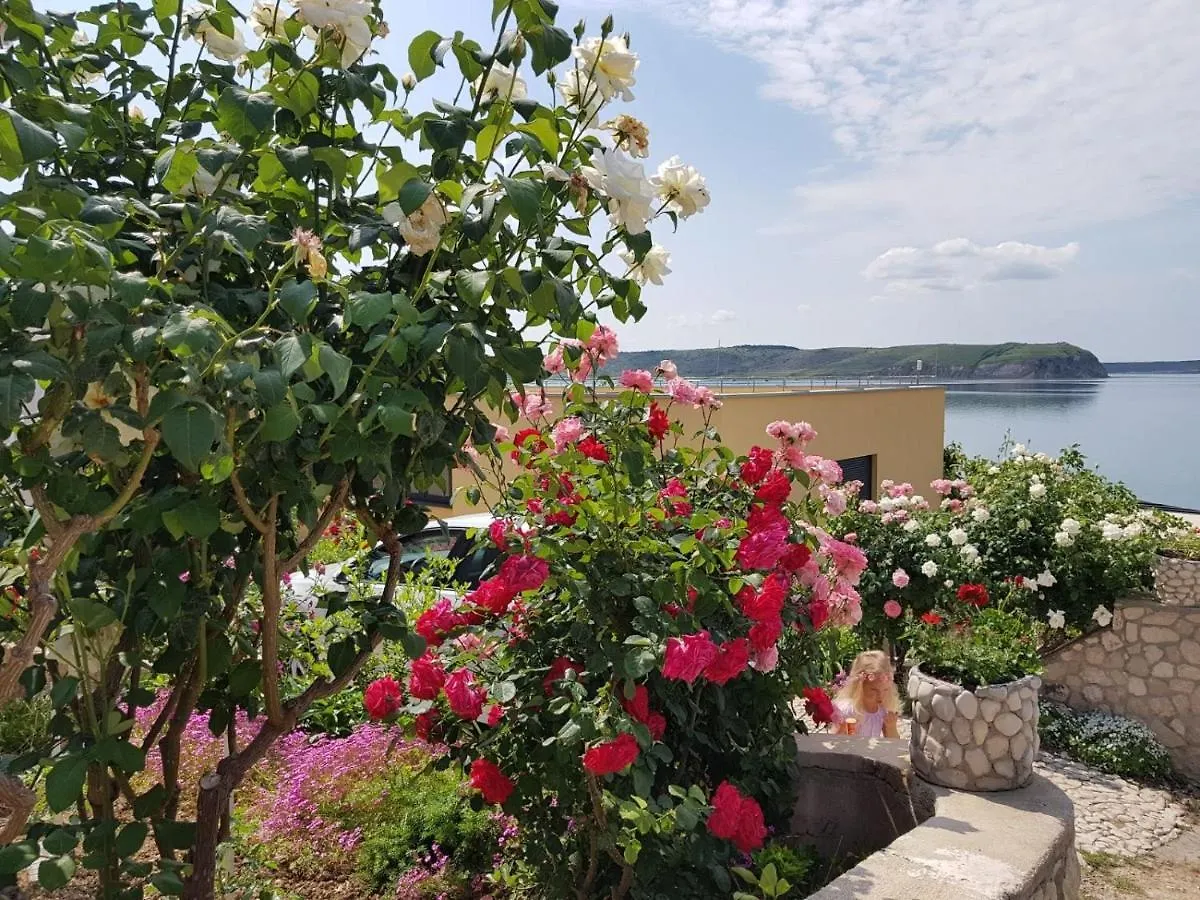 Apartmán Apartman Zlata Ražanac